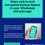 Enjoy end to end encrypted backup feature in your whatsapp ios beta app